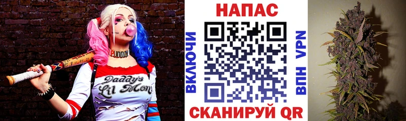 Бошки марихуана индика цена Верхоянск